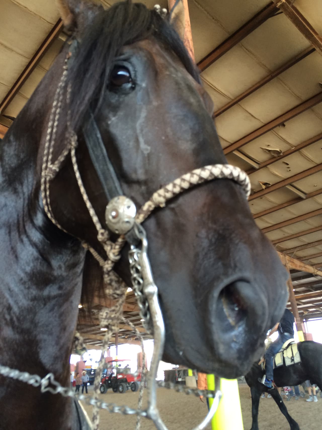 Univision convivió con la comunidad desde el Travis County Expo Center para celebrar las Fiestas Patrias.