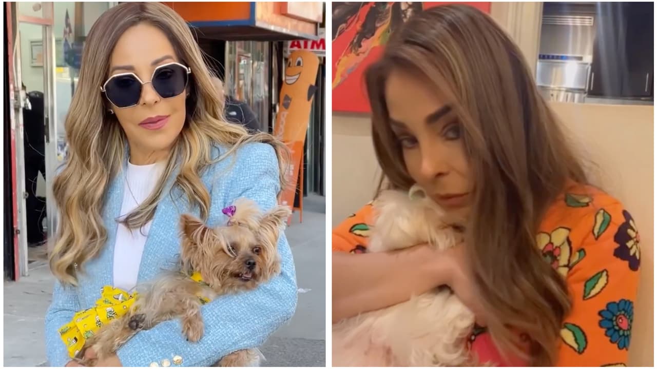 A dos meses de la muerte de su 'hija', Gelena Solano ahora sufre por la salud de su perrito Coco