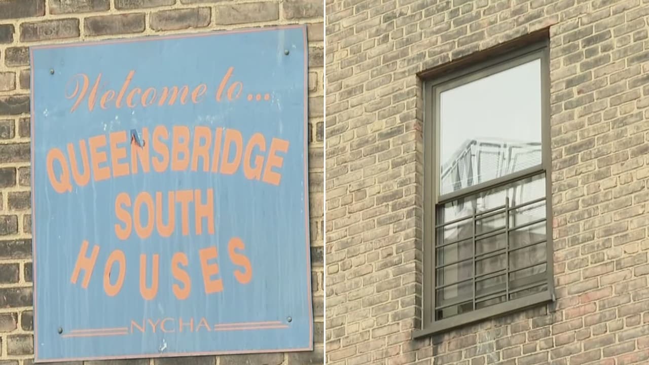 Recién nacida muere tras presuntamente ser atacada por el cachorro de la familia