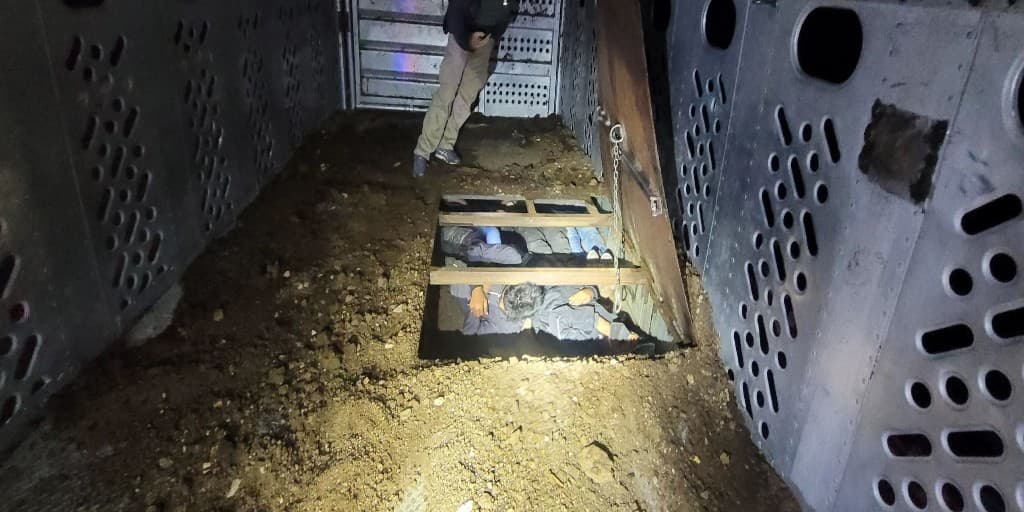 Dentro del remolque de ganado que era llevado por un vehículo Freightliner, en un piso falso, nueve ciudadanos mexicanos estaban escondidos en un espacio cerrado.