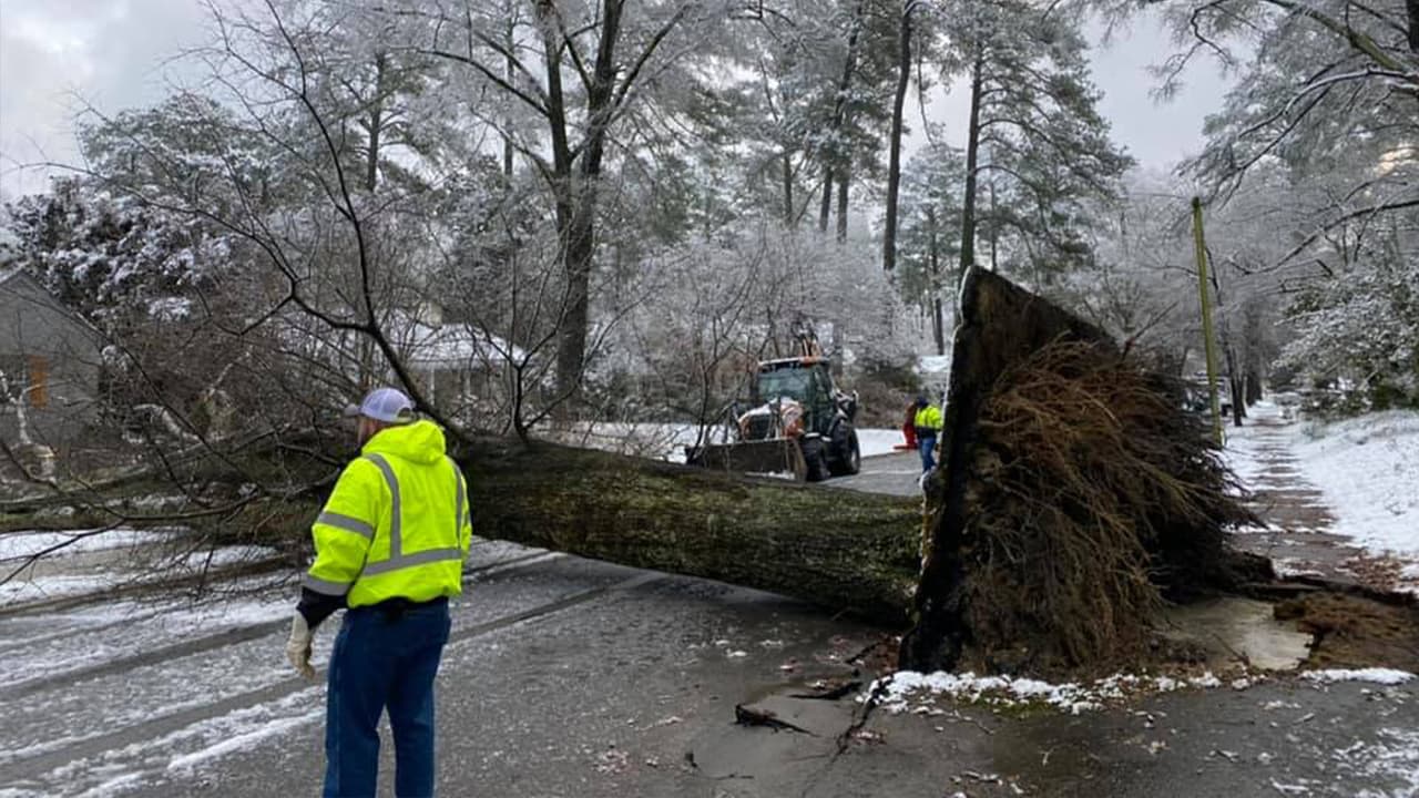 Árboles caídos y sectores sin luz tras nevada en el área central de Carolina del Norte