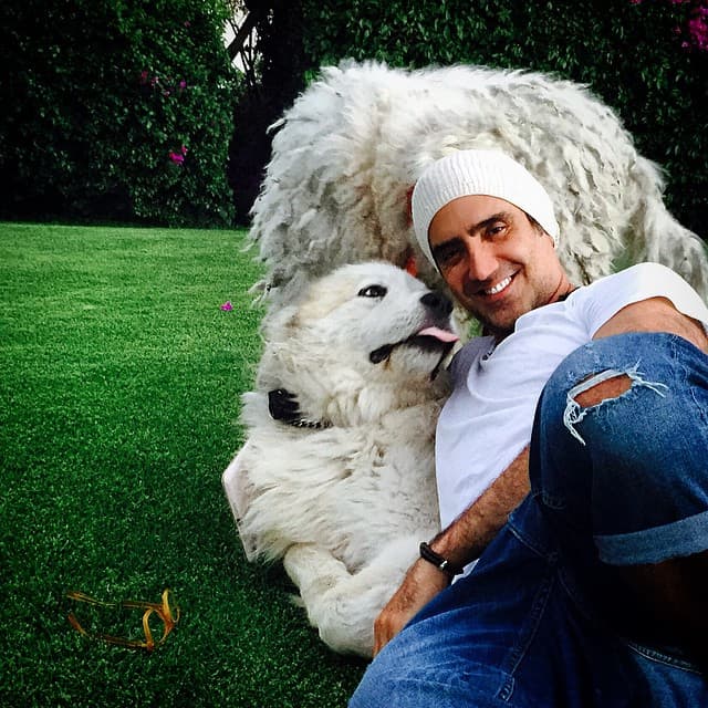 Él es dueño de varios amigos peludos que lo vuelven loco cada vez que regresa a casa.