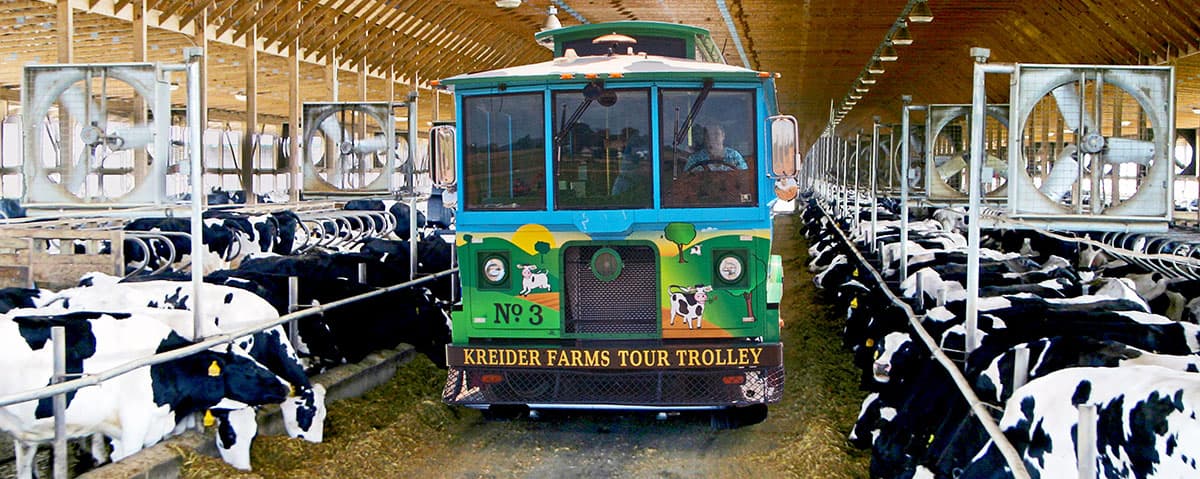 <b><a href="https://www.kreiderfarms.com/">Número 4: Kreider Farms (Maihem)</a></b>. Experimenta las vistas, los sonidos y los olores de una granja lechera real en funcionamiento en el recorrido Kreider Farms. Este recorrido -que requiere reservación- presenta una vista de alta tecnología de la agricultura, incluido un recorrido por el centro del establo "Cow Palace" y una vista panorámica del carrusel de ordeño donde se atiende a 1,700 vacas, 3 veces al día.