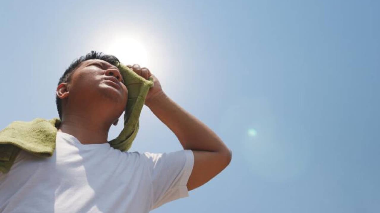 Las víctimas empiezan a sufrir 
<b>alucinaciones o tener convulsiones</b>; su piel se torna caliente y seca, después los órganos comienzan a dejar de funcionar adecuadamente pues las células se deterioran provocando daños irreversibles, lo que puede llevar a un paro cardíaco.