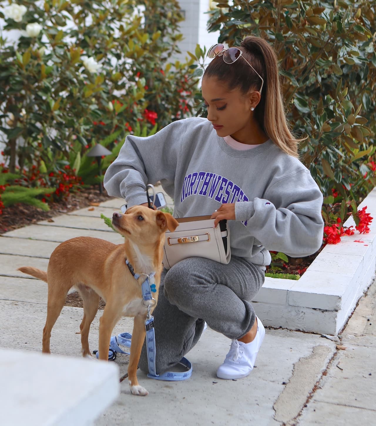 Ariana Grande paseó con su adorable perrito.