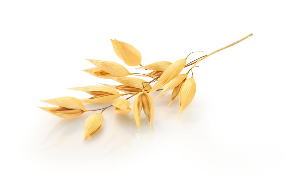 Atrae además de fuerza y prosperidad, poderes de protección, sobre todo para el hogar o para uno mismo. Nos llama a no conformarnos con lo que tenemos, a pedir una señal del destino de que merecemos mucho más de lo que estamos recibiendo. Es un llamado fuerte y duro a recibir abundancia.