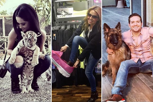 Los nominados a Premios Juventud la pasaron en grande estos días. ¡Mira sus mejores 'tuitpics'!