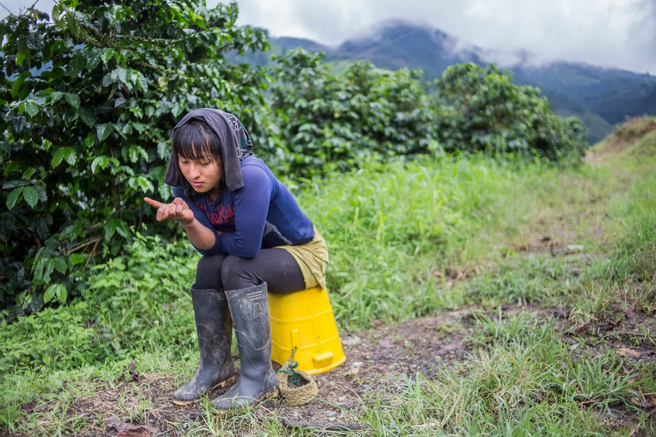 En un descanso de la recolección, Viviana, otra adolescente transgénero Embera de 15 años, se limpia la tierra de las manos.