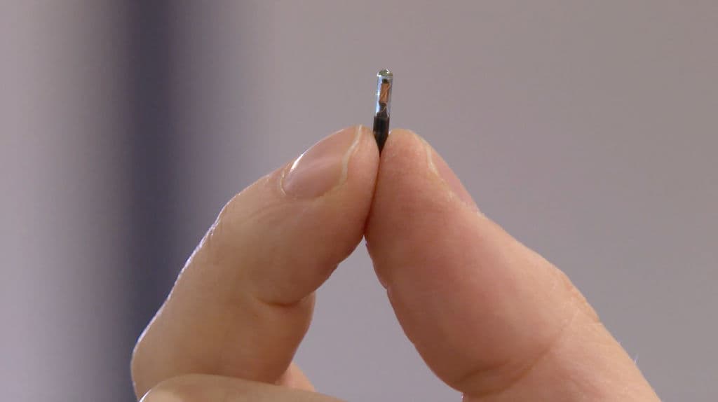 Uno de los microchips que se implanta en la piel presentado por la marca sueca DSruptive Subdermals en diciemre de 2021.