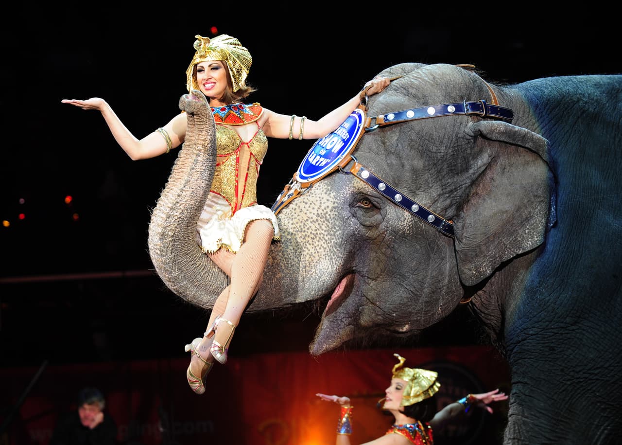 Después de 146 años de existencia, el icónico circo Ringling Bros. y Barnum & Bailey dejará de existir, según anunció la compañía el sábado 14 de enero.