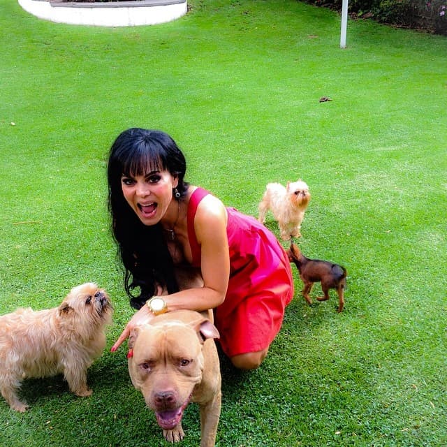 Maribel se da tiempo para todo, principalmente de jugar como una niña con estos animalitos.