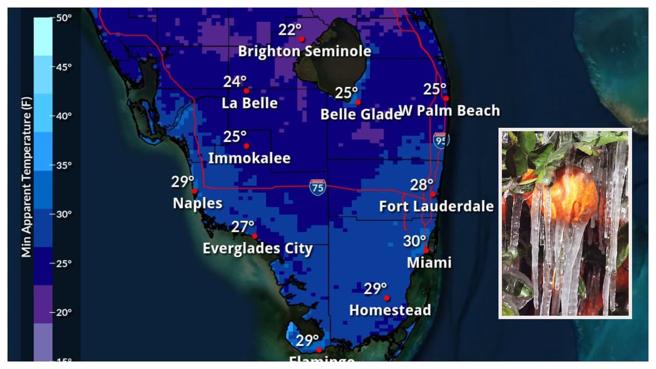 Emiten vigilancia de congelación en zonas de Miami-Dade y Broward para la madrugada del domingo
