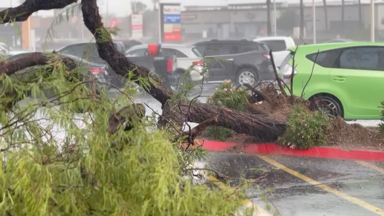 Además, causaron que se interrumpiera el servicio de energía para miles de usuarios en Tempe, Scottsdale, Peoria, Glendale, entre otras ciudades.