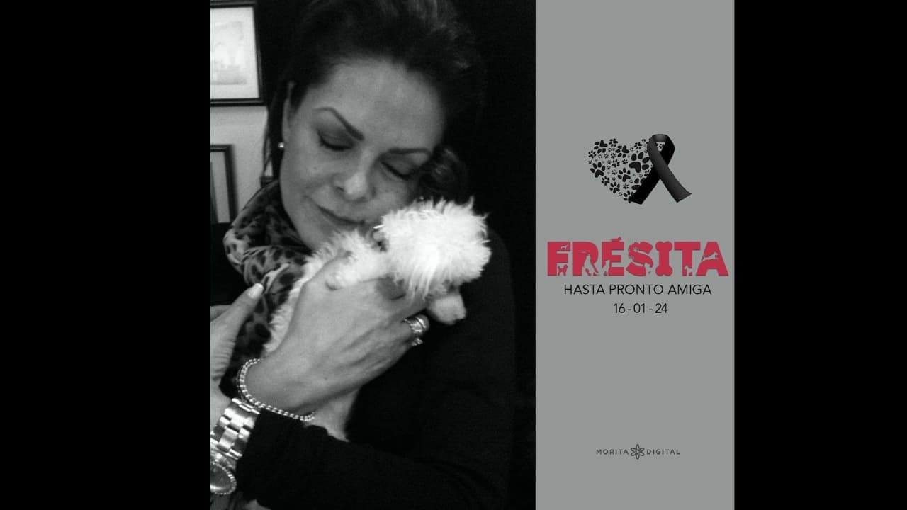 Así le dijo adiós la periodista Mara Patricia Castañeda a su perrita