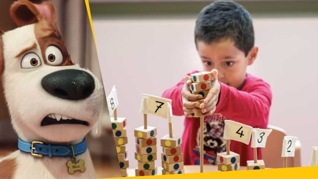 Los perros son tan inteligentes como un niño de 3 años: pueden entender lo que dices