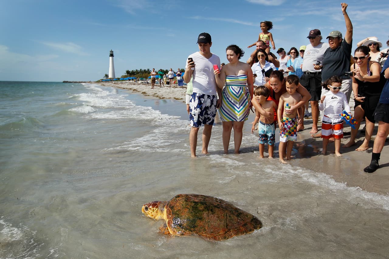 Crandon Park en Key Biscayne es considerado como uno de los 10 mejores parques familiares de Estados Unidos. Localizado en el 4000 Crandon Boulevard, el parque ofrece 2 millas de playa, salvavidas, baños públicos y facilidades para picnic, además de columpios, carrusel, pista de patinar y una fuente de agua donde jugar. El parque es gratis pero el estacionamiento cuesta $7.
<br>