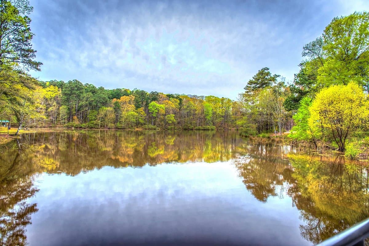 <b><a href="https://www.co.newton.ga.us/240/Turner-Lake">Turner Lake</a></b>. Turner Lake ofrece un área para hacer picnics, senderos y espacios para pescar.
<br>
<br>
<b><a href="https://goo.gl/maps/pKtYsLbNgQhYknsn9">Cómo llegar</a></b>