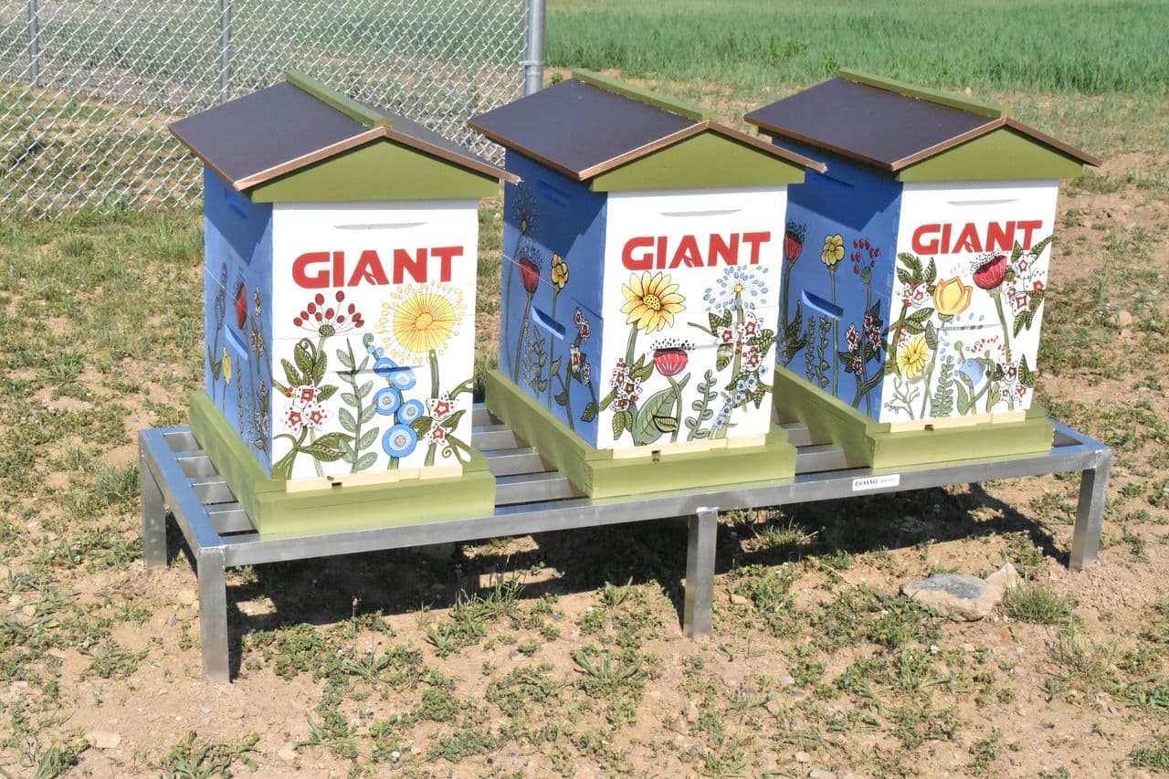 Roban 60.000 abejas de campo de polinizadores de Pensilvania 