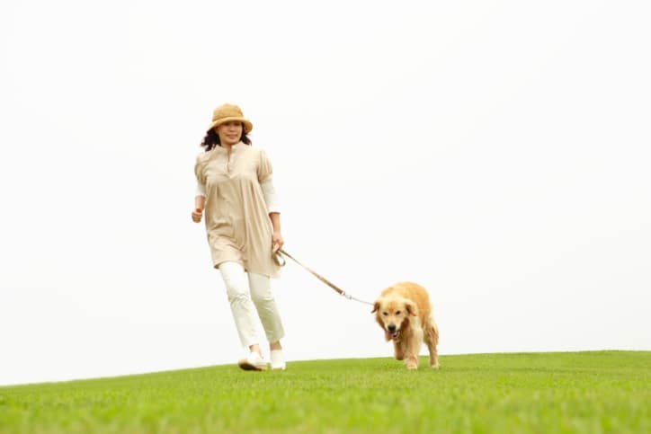 3. Paciencia y constancia. Repite una y otra vez. Haz una rutina para establecer que lo llevarás al baño.