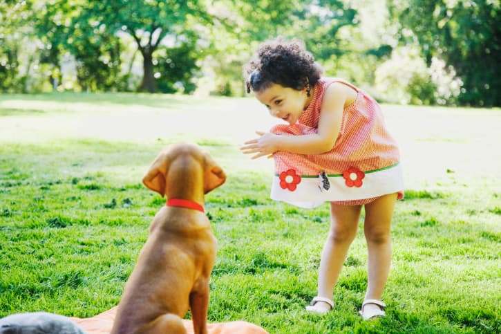 6. ¡Sorpresa! En caso de que veas a tu perrito a punto de hacer sus necesidades donde no debe, aplaude fuertemente para que se sorprenda e inmediatamente llévalo a donde sí quieres que haga.