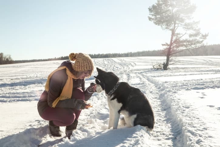 Llévalo afuera cuando no tenga que ir al baño, que sólo sea por jugar o pasear. Prémialo cuando logre hacerlo sin jalarse para que asocie su comportamiento con algo positivo.