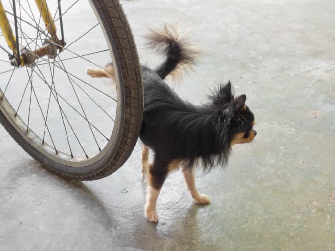 Es uno de los más comunes y difíciles de lograr vencer, pero con constancia y paciencia tiene solución.