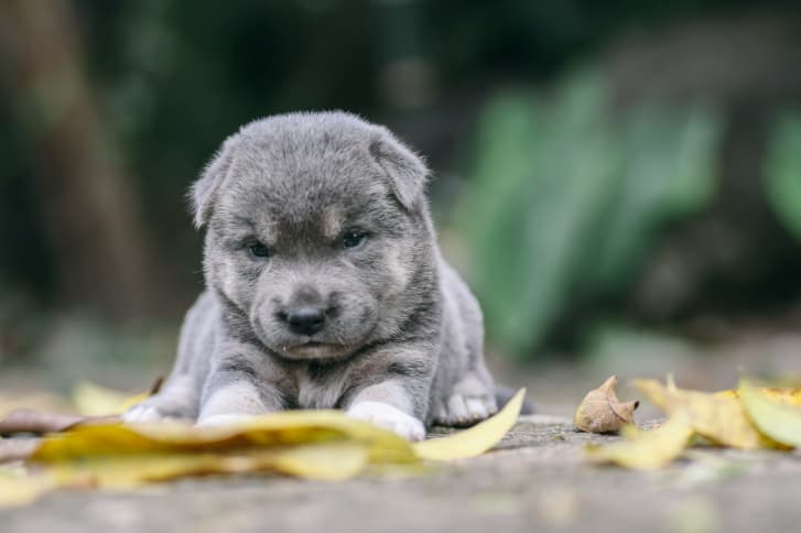 Así pues, ¿qué hacer para evitarlo?