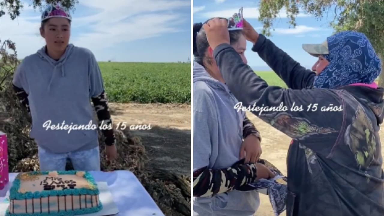 Quinceañera celebró su fiesta de XV en la milpa en la que trabaja: el video conmovió a Internet