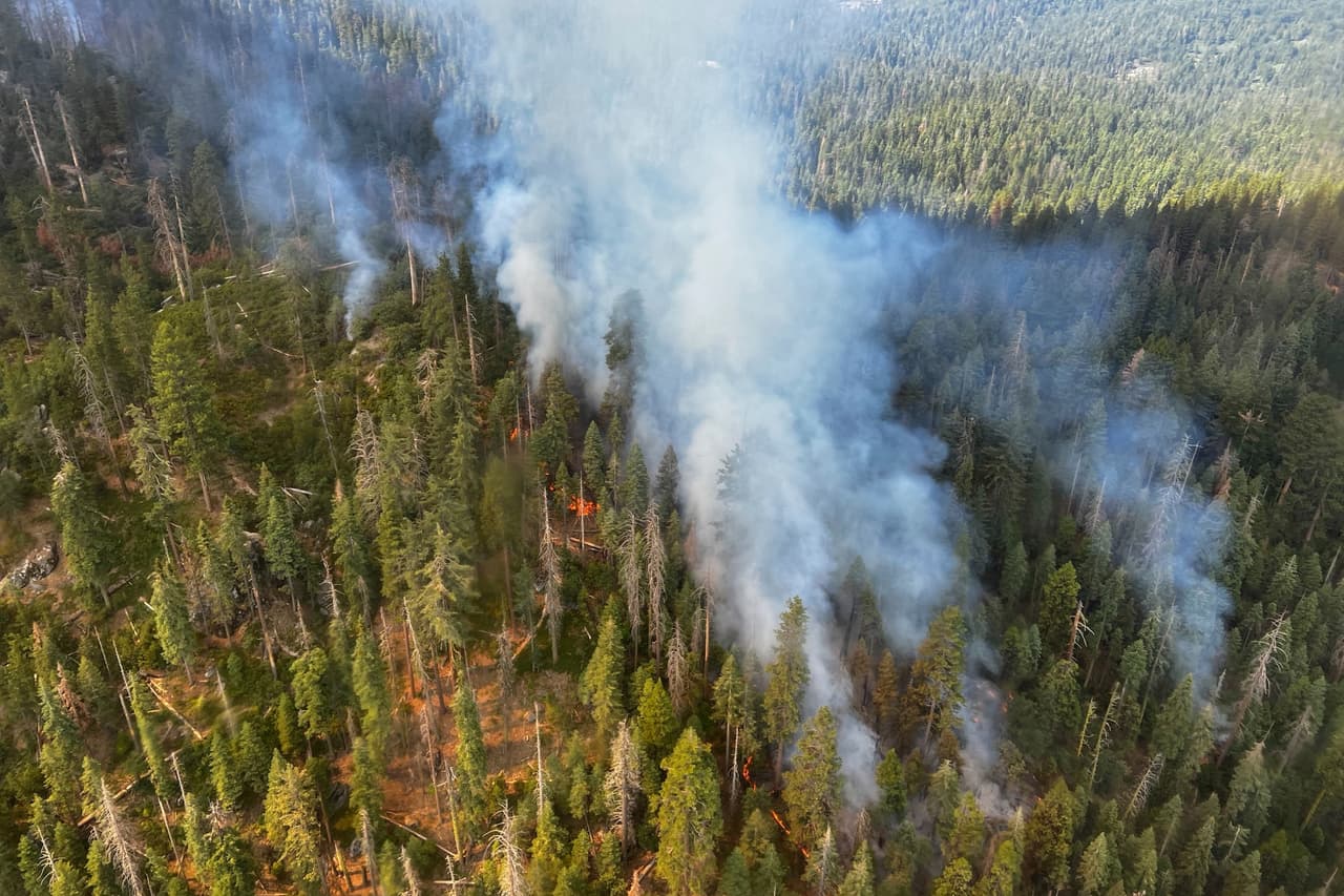 Las causas del incendio aún se encuentran bajo investigación y el resto del Parque Nacional Yosemite se mantiene abierto. Alrededor de 300 bomberos están trabajando a marchas forzadas para sofocar el fuego con la ayuda de dos helicópteros y un avión cisterna que arroja retardante sobre la zona afectada.