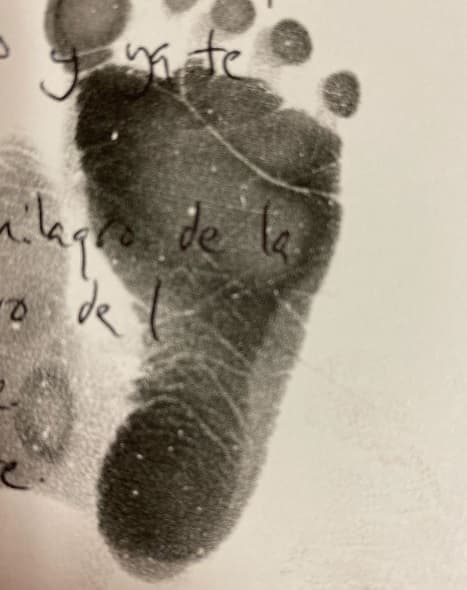 El pasado lunes, el primero en anunciar la llegada de Emiliano fue Francisco Oliveros, esposo de Zaba. Lo hizo con 
<b><a href="https://www.instagram.com/p/B4ds35RglZz/" target="_blank">esta foto</a></b>: "Llegó a nuestras vidas este 
<b><a href="https://www.univision.com/famosos/erika-zaba-mostro-un-poco-de-como-sera-el-cuarto-de-su-bebe-a-dias-de-dar-a-luz-video" target="_blank">nuevo integrante</a></b> que solo nos llena de una alegría difícil de describir", escribió como pie de la imagen.