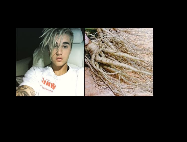 Por supuesto, cuando publicó esta imagen no hubo quien perdiera la oportunidad para decir que su cabello parecían raíces de zanahoria.