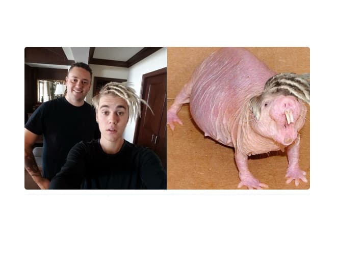 Lo peor fue cuando lo compararon con una rata egipcia, y hasta le colocaron la misma cabellera rubia.