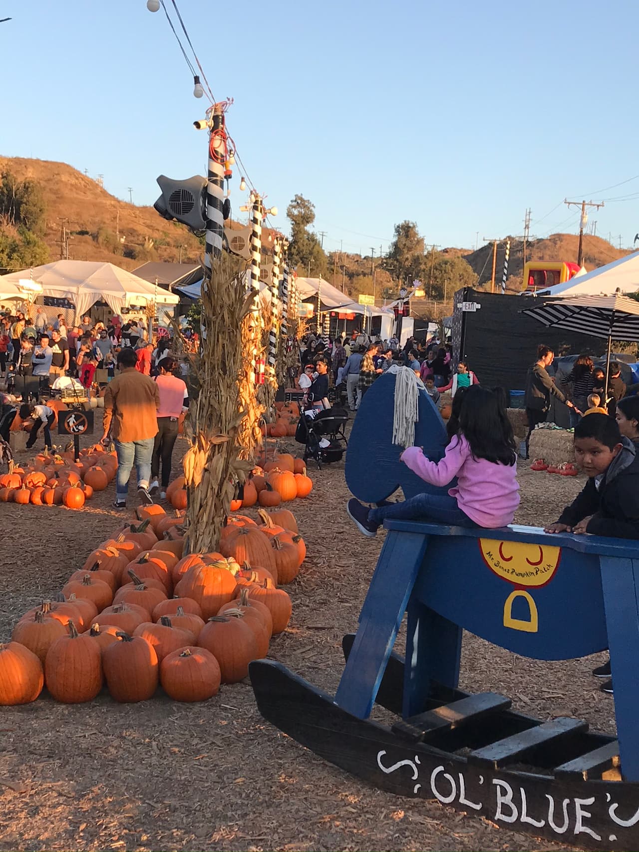Así como también disfrutar sobre los caballitos mecedora