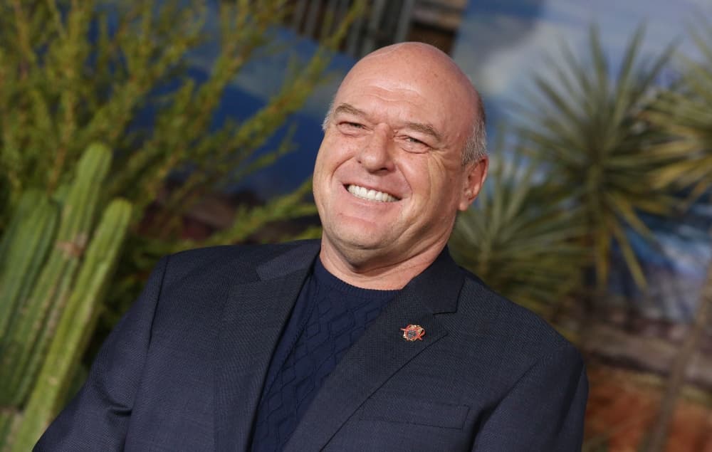 En el 2020 repitió su papel de agente de la DEA para la serie spin-off Better Call Saul. También estuvo en 'The Act' y en 'Scary Stories to Tell in the Dark', cinta producida por Guillermo del Toro.
<br>