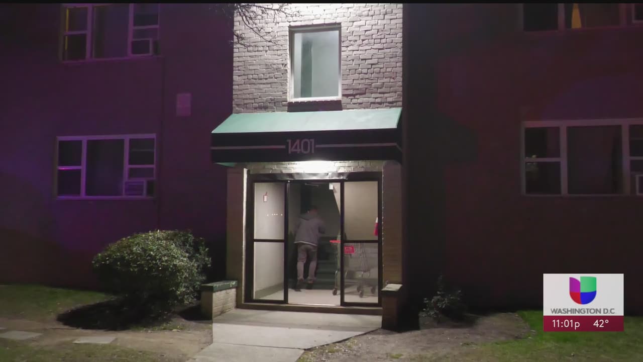 Tragedia en Langley Park: un niño de 3 años fue asesinado durante un tiroteo, la policía busca al sospechoso