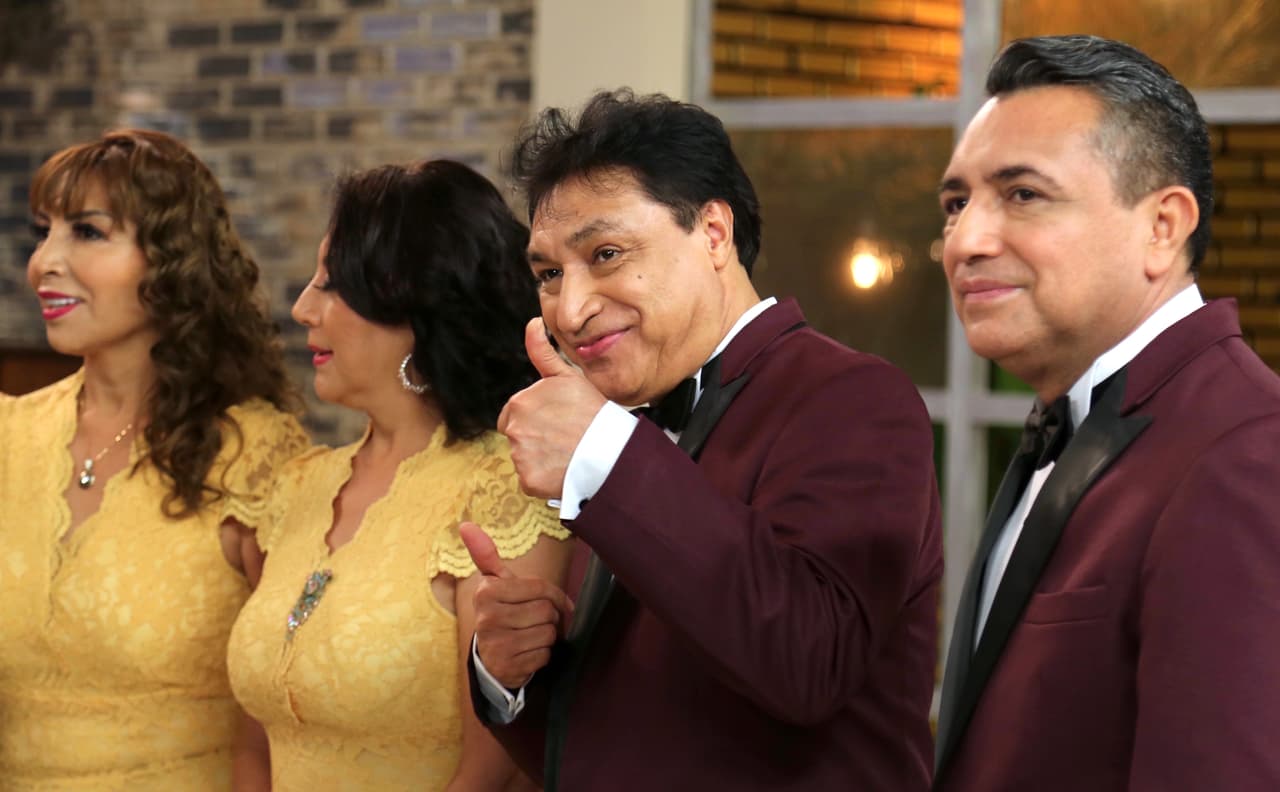 Sin embargo, al inicio solo cuatro de ellos comenzaron en la música y fueron conocidos como la Familia Mejía Avante.
<br>