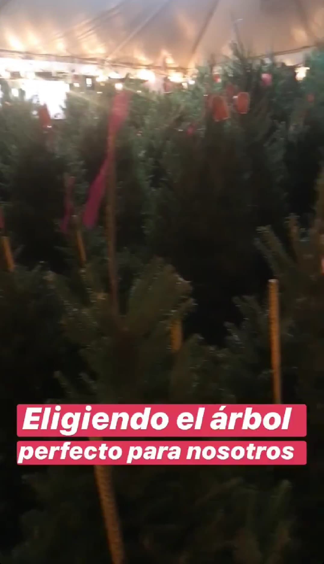 Cada detalle será muy especial para los novios, quienes están por cumplir un año de compromiso.
