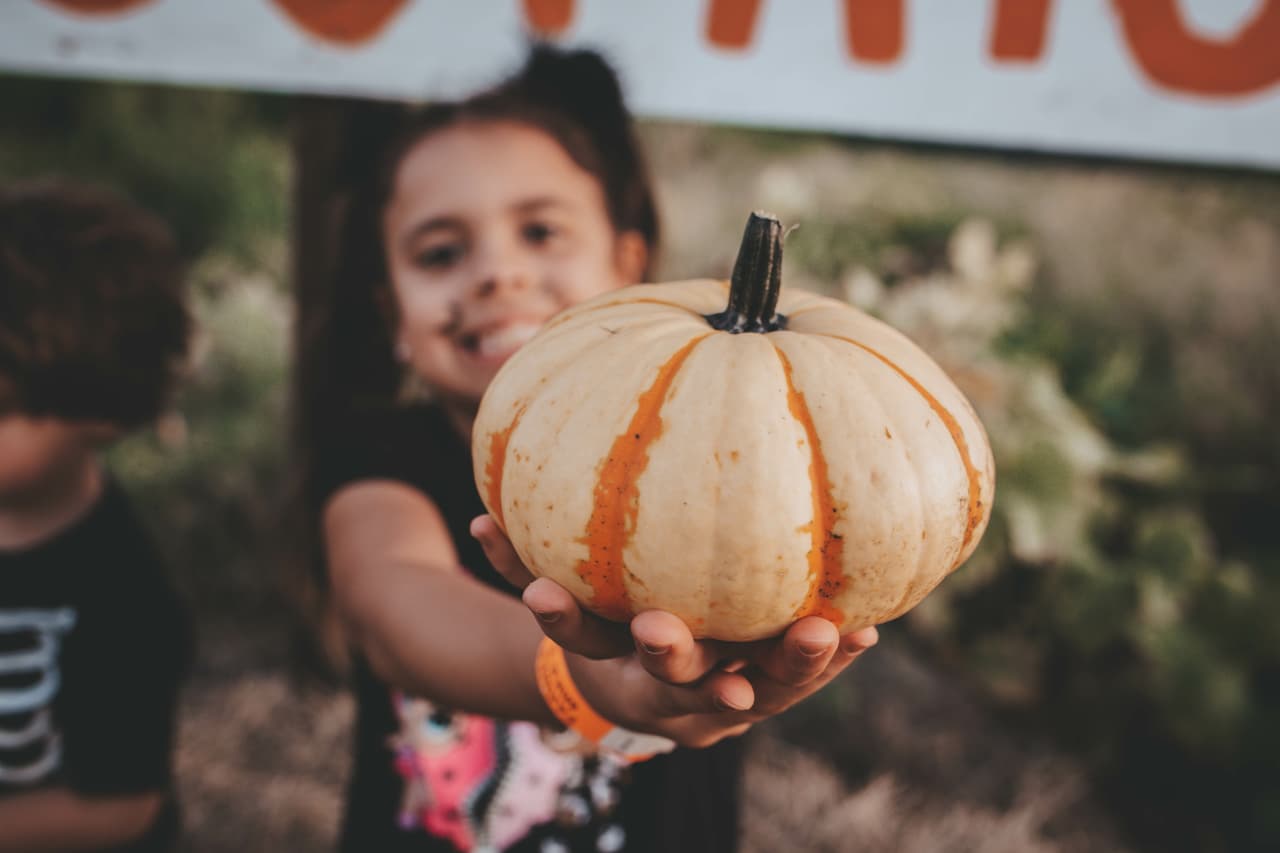 <h2 class="cms-H2-H2">Evergreen Farms</h2>
<br>
<br>Dónde: En 852nd Road y 484 Avenue
<br>Cuándo: Los últimos 3 fines de semana de octubre
<br>$: 3.50 dólares
<br>