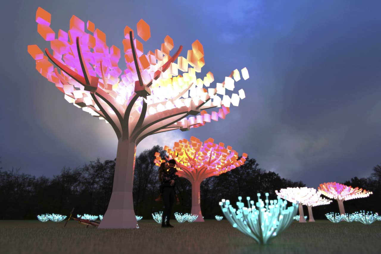 "Enredados" es el nombre de la 
<a href="https://sfrecpark.org/CivicAlerts.aspx?AID=402" target="_blank">instalación de arte</a> que está abierta el público en el 
<a href="https://www.univision.com/local/san-francisco-kdtv/por-primera-vez-en-un-siglo-el-parque-golden-gate-tendra-una-enorme-rueda-de-la-fortuna-para-turistas-fotos-fotos" target="_blank">parque Golde Gate de San Francisco</a> aún a pesar de las restricciones del 
<a href="https://www.univision.com/local/san-francisco-kdtv/negocios-cerrados-por-el-toque-de-queda-en-el-area-de-la-bahia">toque de queda regional</a>.