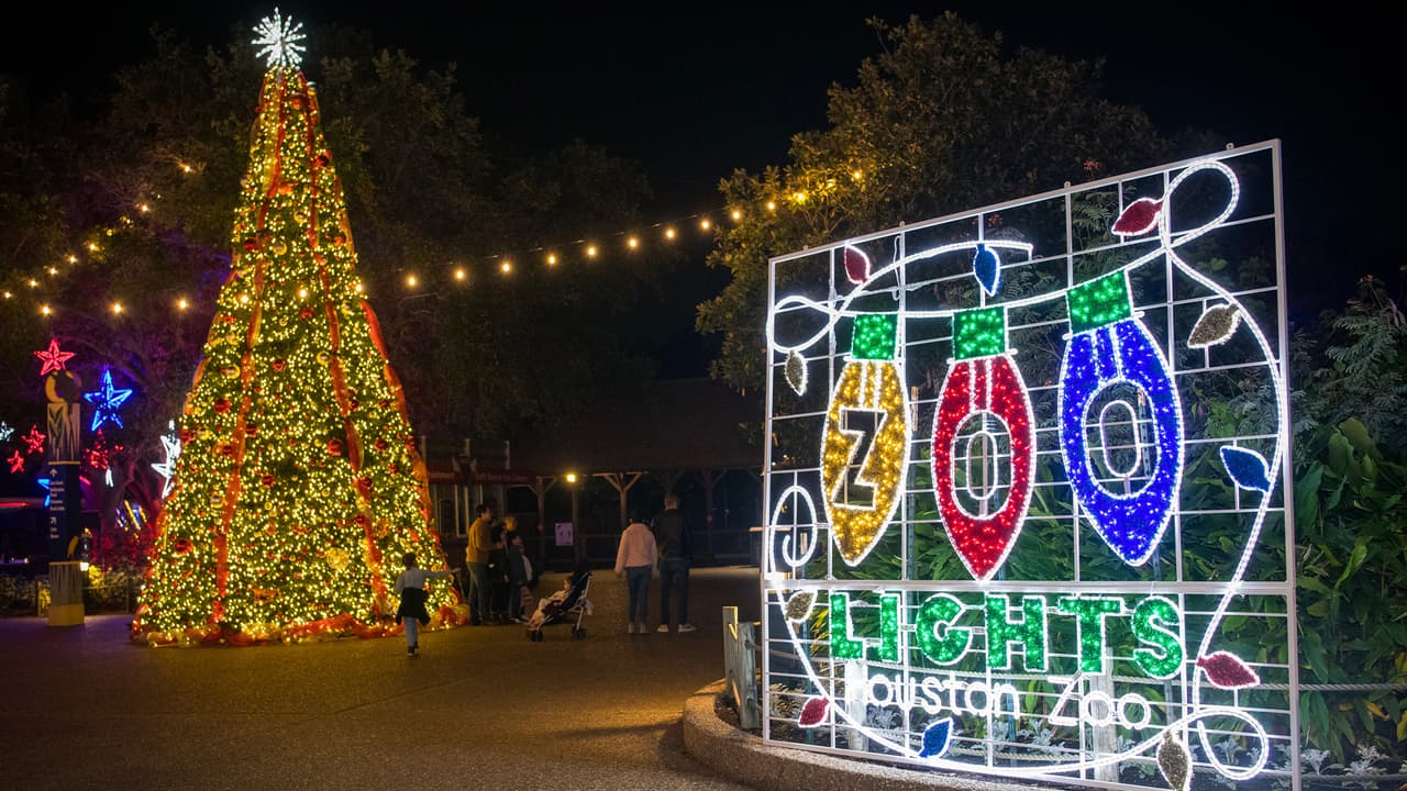 El Zoológico de Houston ayuda ahorrar desperdicios y colaborar con el medio ambiente al reciclar 20,019 libras de luces navideñas hasta la fecha. Además, las luces LED ahorran un 85% más de energía que las normales, según indicaron en un comunicado.
