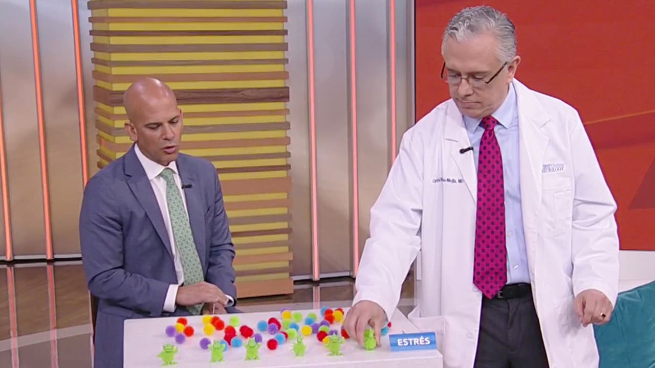 Nuestros doctores nos explicaron cuál es el 
<a href="https://www.univision.com/shows/despierta-america/que-sucede-con-el-sistema-inmune-tras-enfermarse-los-medicos-explican-por-que-es-importante-controlar-el-estres-video">papel del sistema inmunológico en el manejo del estrés</a>.
