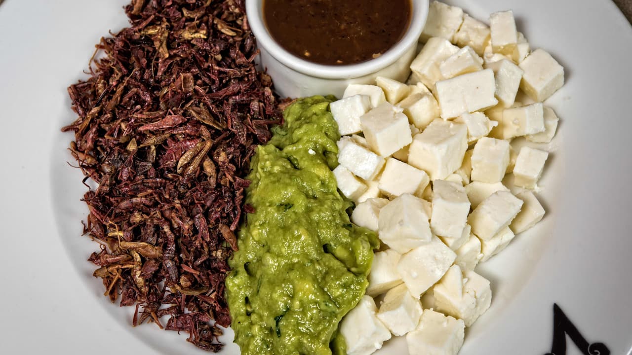 El mundo se prepara ante la posible escasez de alimentos, producto de la contaminación y sobrepoblación. ¿La alternativa? 
<a href="https://www.univision.com/shows/despierta-america/los-insectos-salen-al-quite-y-ofrecen-una-alternativa-saludable-a-la-crisis-por-falta-de-alimento-que-se-avecina-video">Nutritivos insectos</a>. ¿Los has probado?