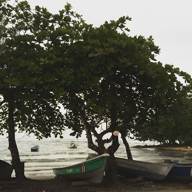 Estos son algunos paisajes que han compartido.