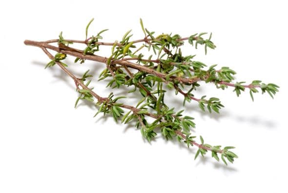 El tomillo es una excelente hierba para atraer energía positiva. También el bambú, el jazmín y la hierbabuena te ayudarán a eliminar la negatividad a tu alrededor.