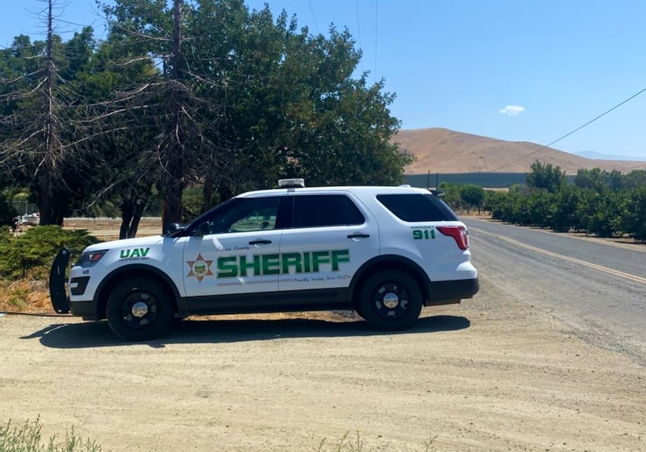 Niño de 2 años hospitalizado tras el ataque de un perro en el condado de Tulare