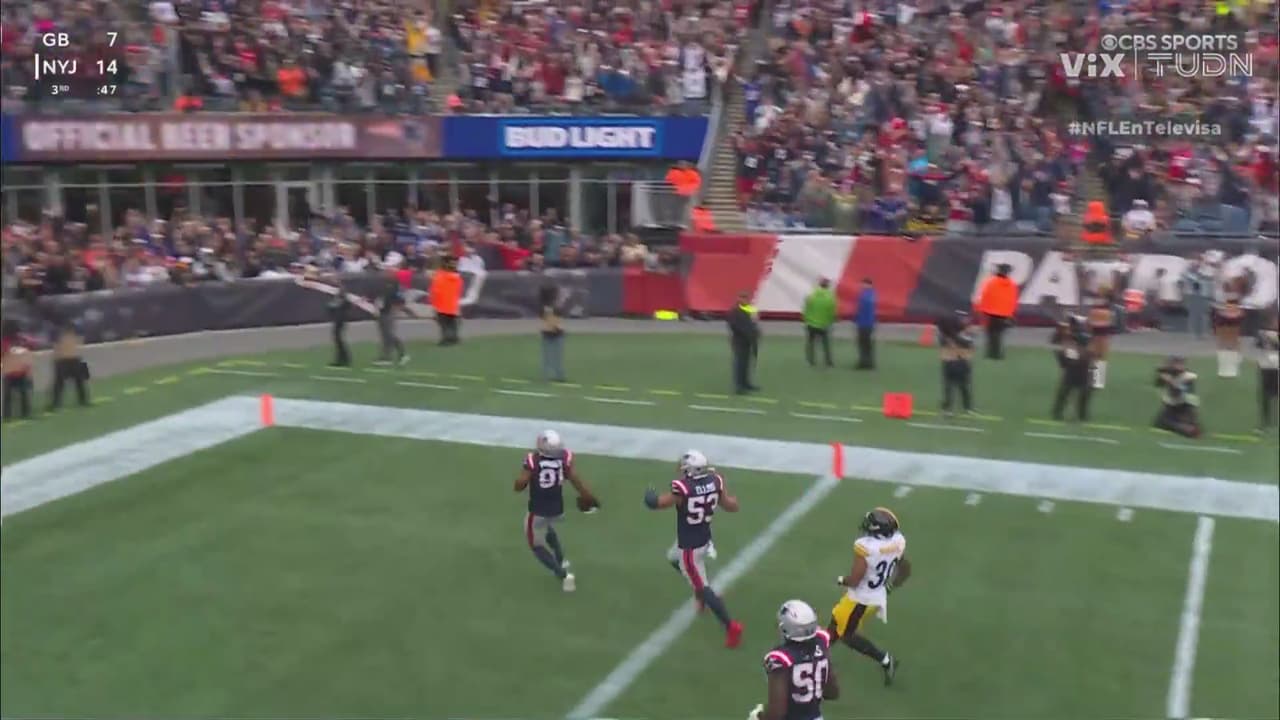 ¡Pick six! Fumble de Rodgers y Elijah Ponder logra el touchdown