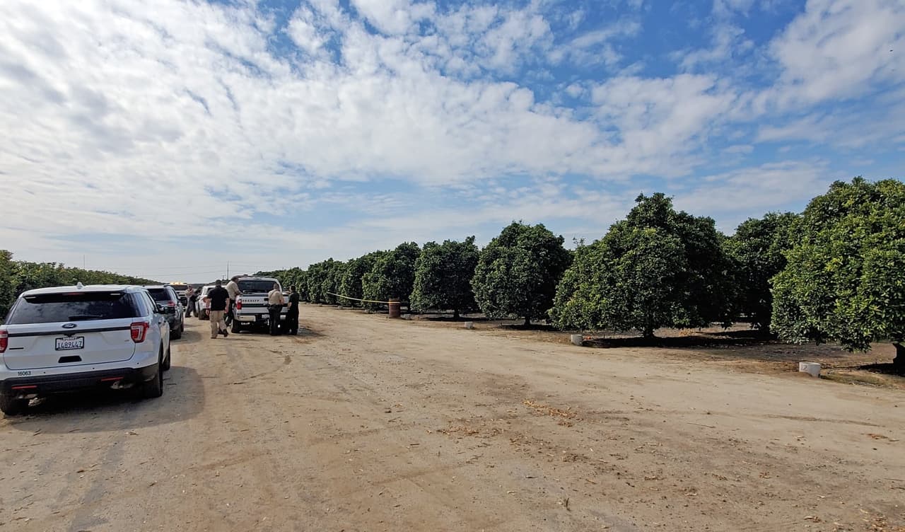 Encuentran cuerpo sin vida en huerto de cítricos en el condado de Fresno