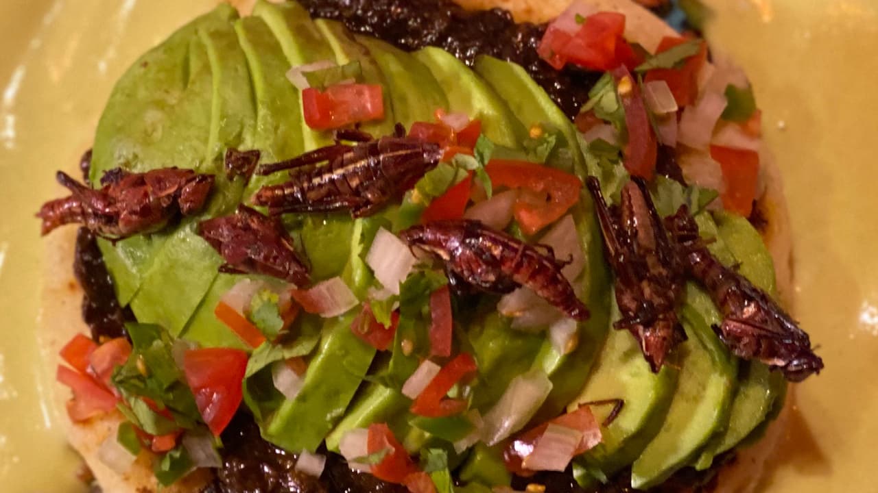 Disfruta de una cena romántica preparada con grillos para el Día de San Valentín