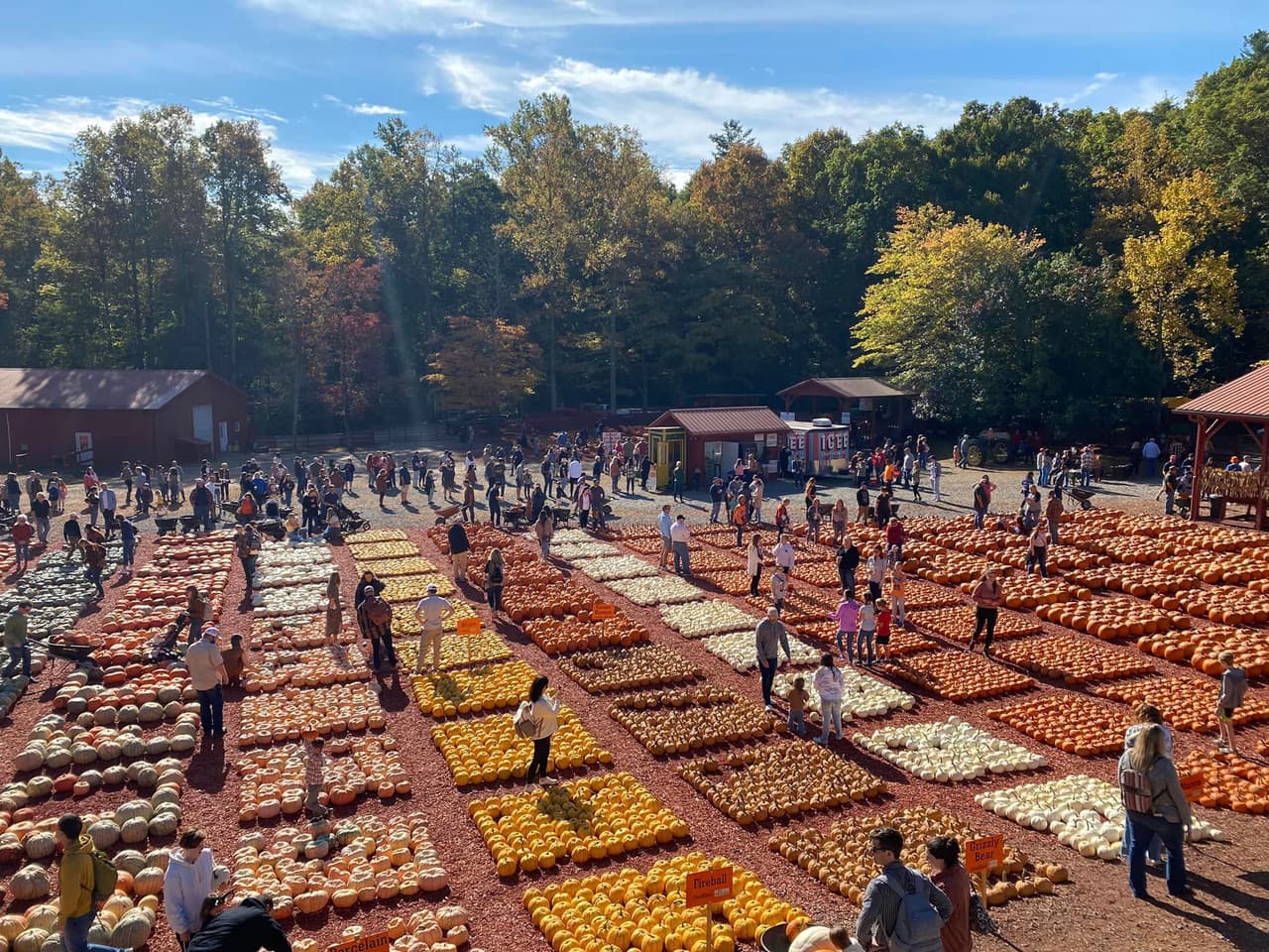 Encuentra más destinos e información local, 
<a href="https://www.univision.com/local/atlanta-wuvg/localisimo"><b>aquí</b></a>.