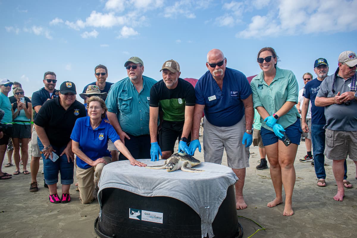 La tortuga fue bautizada con el nombre del barco que la rescató y trasladada al Zoológico de Rotterdam, en Países Bajos, donde se la cuidó hasta que recuperó la salud.
<br>